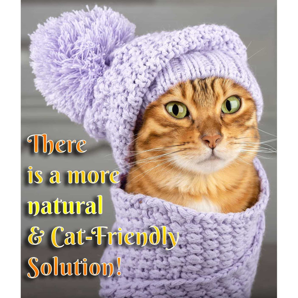 Cat Dandruff Care Spray Y6737