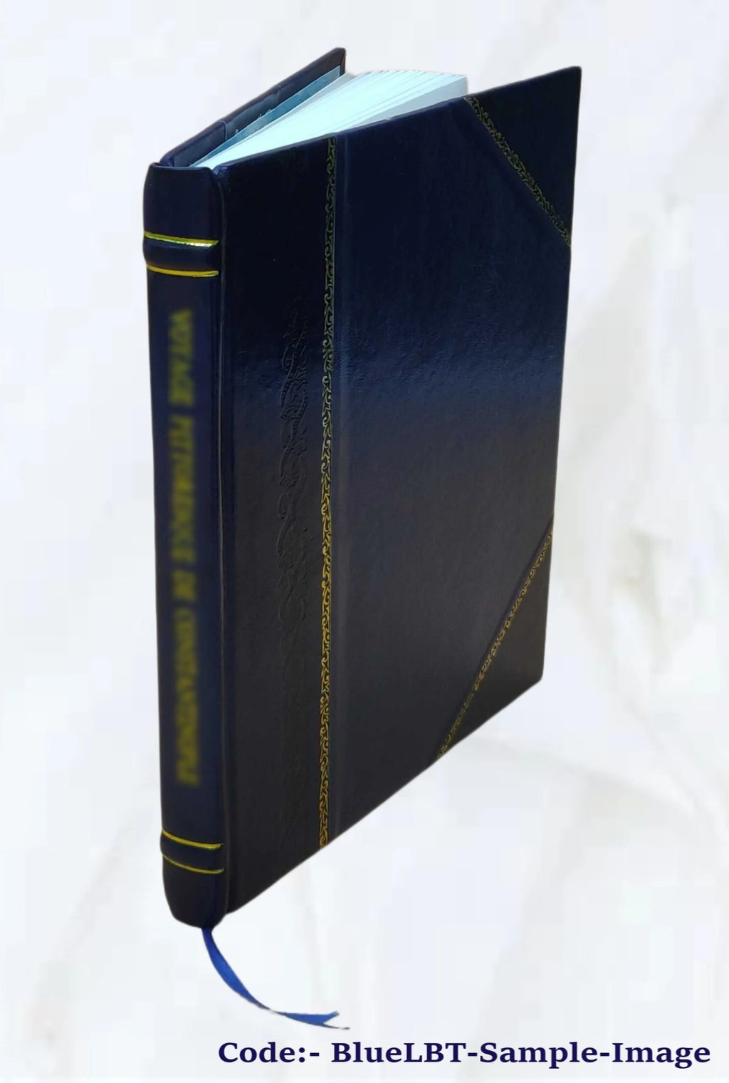 Leather Bound Book C914
