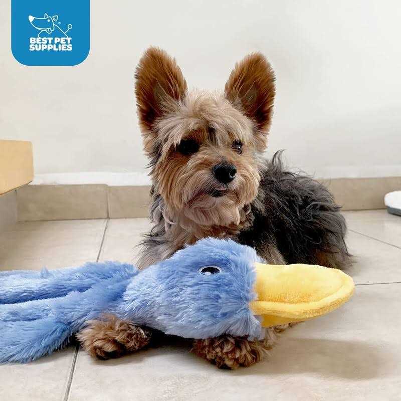 Crinkle Dog Toy No Stuffing Duck with Soft Squeaker E18693