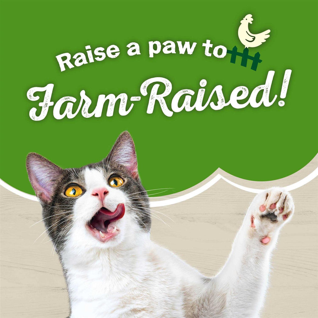 Dry Cat Food with Chicken G69742