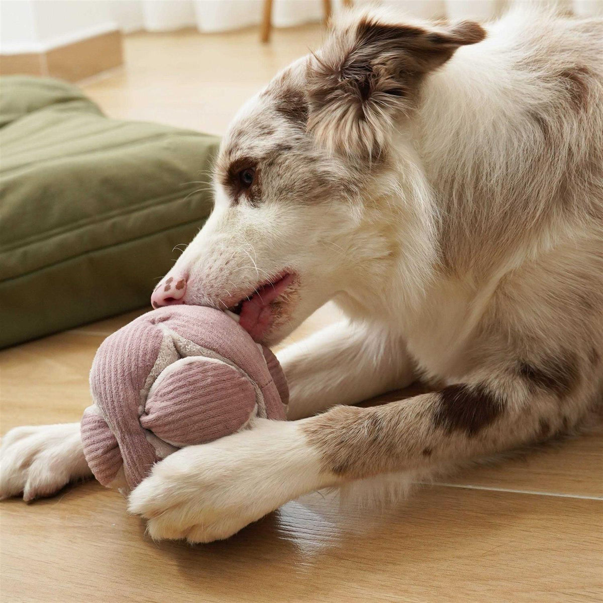Dog Toy M914191