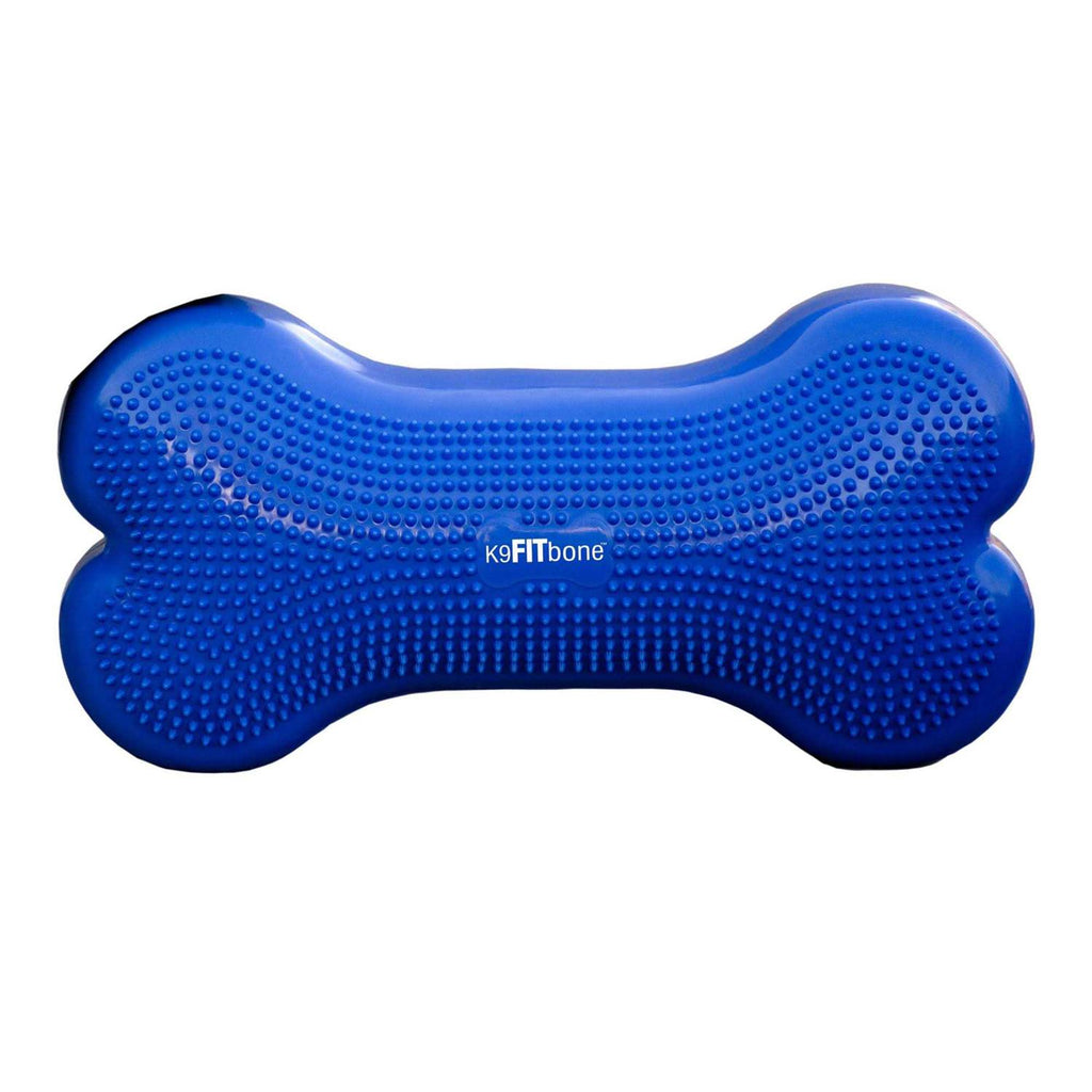 Agility Training Pet Supplies I5088