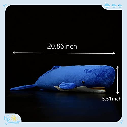 Frilled Shark Plush Toys P2617