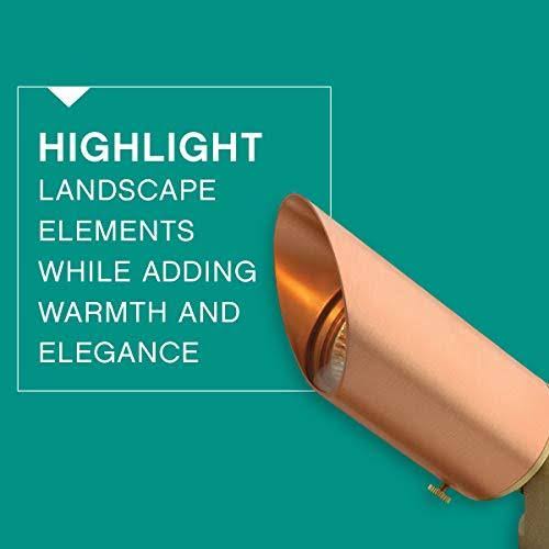 Natural Copper Landscape Accent Spot Light Q8885