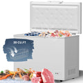 20 Cu.ft Chest Freezer with 2 Removable Baskets P390