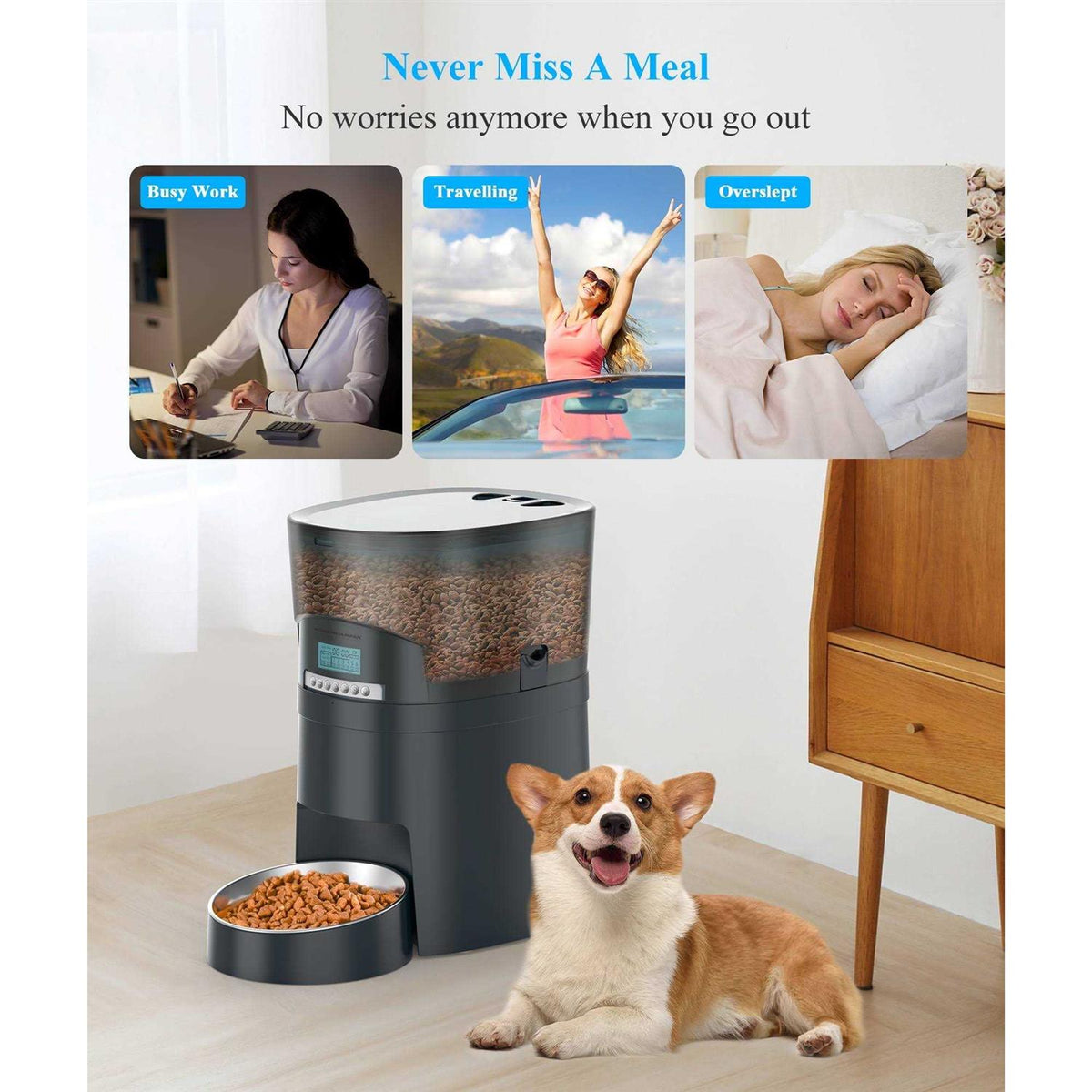 4.5l Automatic Pet Feeder 6 Meal Portion Control G370