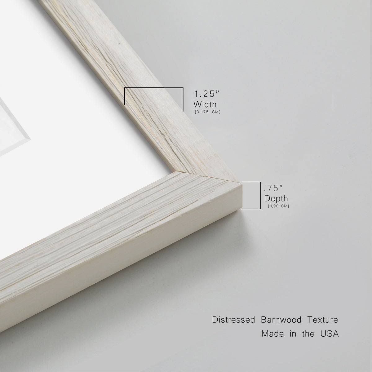 Black Framed Print 23X32 Q497