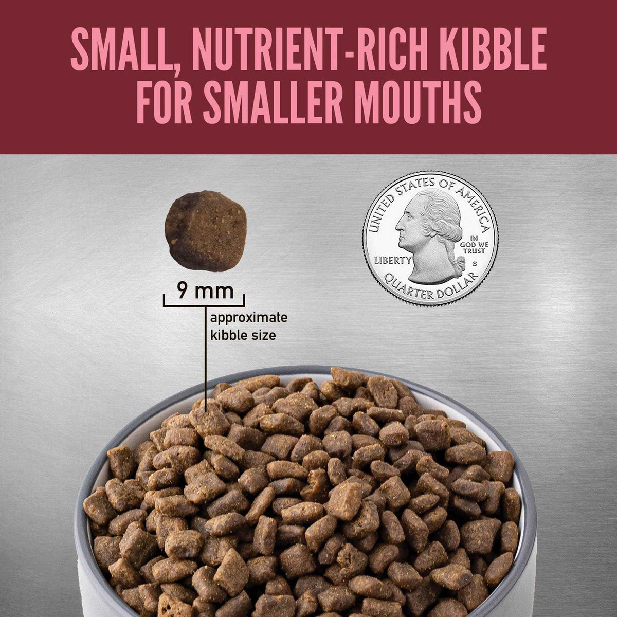 Dry Dog Food Q3170