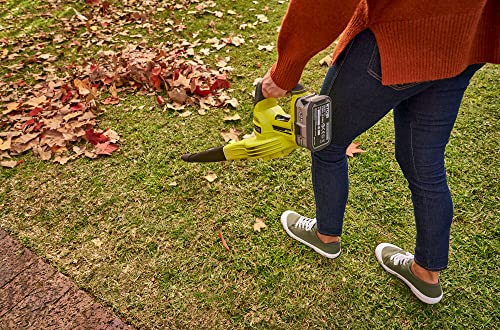 18 V Cordless Blower S2497