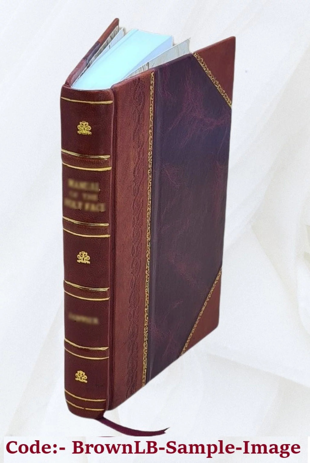 Interior Wall Decoration Leather Bound A371
