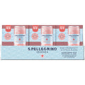 267.6 fl oz Flavored Mineral Water D7923