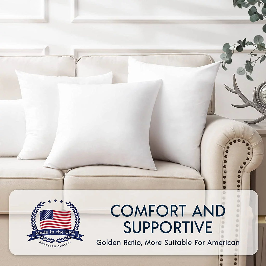 Hypoallergenic Square Throw Pillow Inserts, 2 Pack, 20 x 20 inches N1380