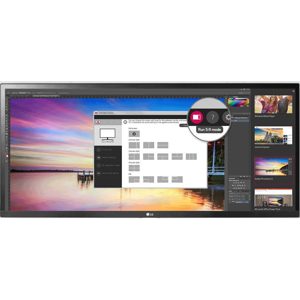 29" IPS LED Monitor I4874
