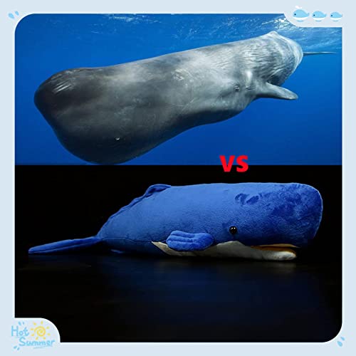 Frilled Shark Plush Toys P2617