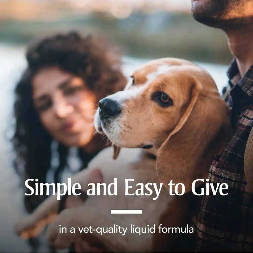 Liquid Wormer for Dogs O756