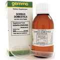 Sorbus domestica 125 ml J9283