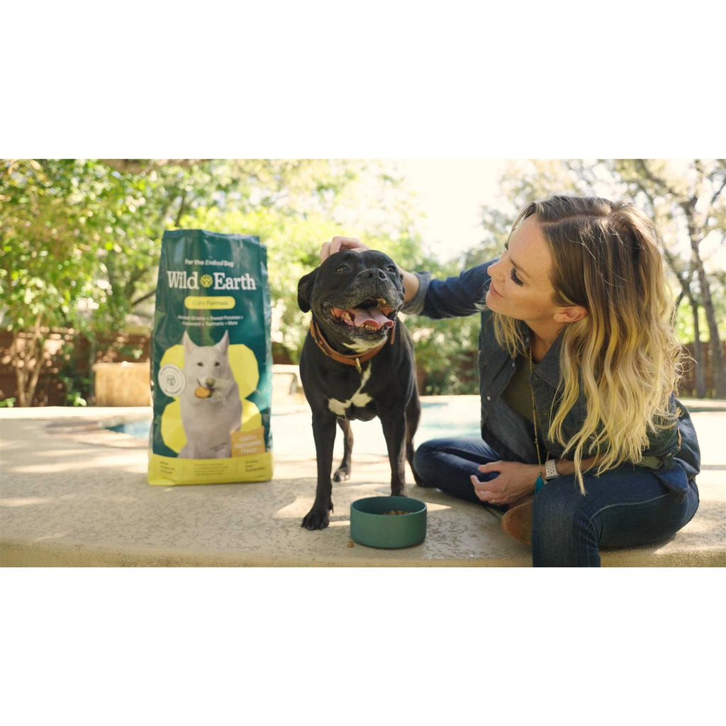 Golden Rotisserie Flavor Dry Dog Food D220555