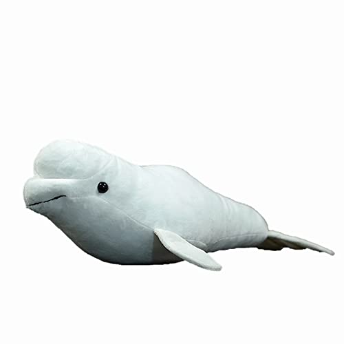 Frilled Shark Plush Toys P2617