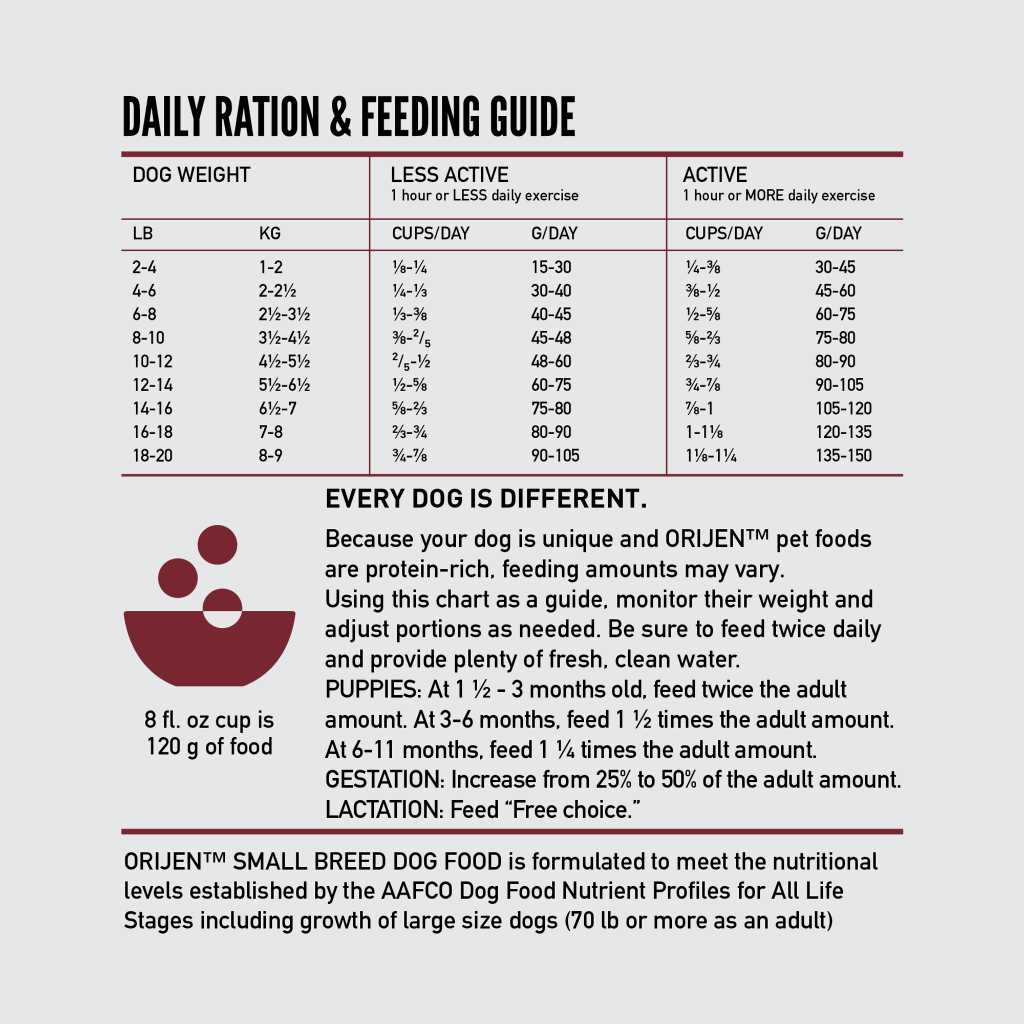 Dry Dog Food Q3170