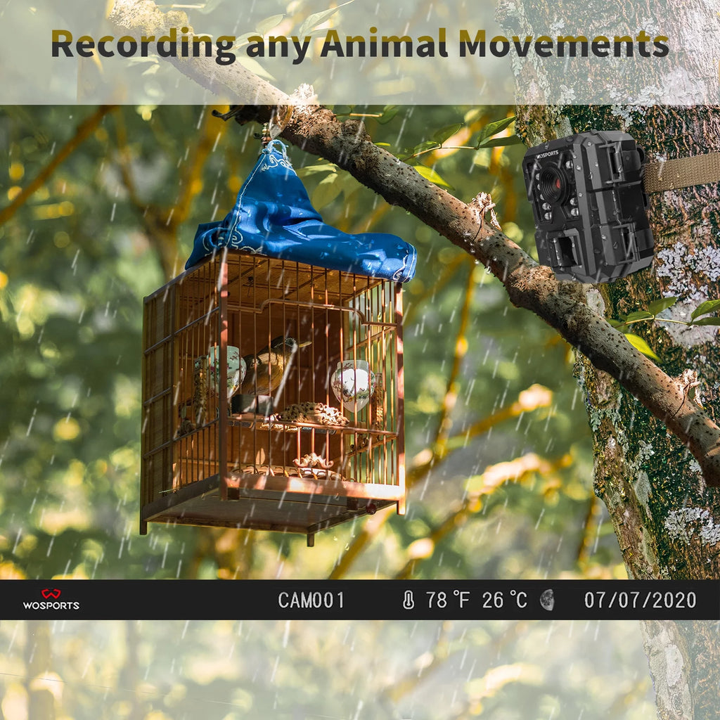 Mini Trail Camera 24MP 1080P Waterproof Infrared S6159