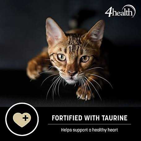 Adult Dry Cat Food Weight Management Z624