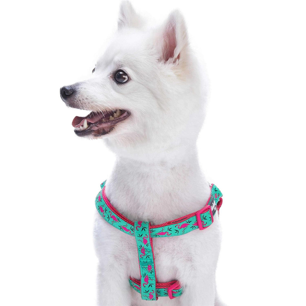 Dog Harness W314235